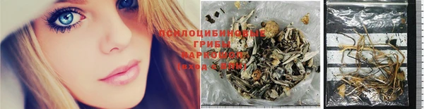 таблы Няндома