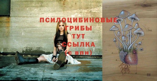 твердый Нязепетровск