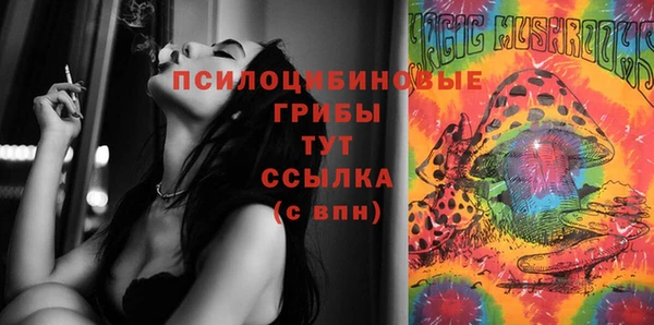 таблы Няндома