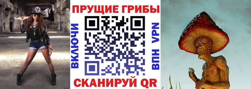 купить наркотики цена  Унеча  Псилоцибиновые грибы MAGIC MUSHROOMS 