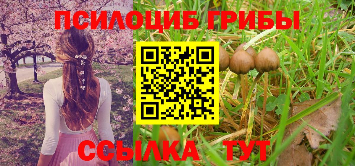 Псилоцибиновые грибы GOLDEN TEACHER Унеча